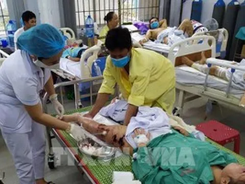Quảng Nam: Tích cực cứu chữa, tìm kiếm nạn nhân vụ sạt lở đất Trà Leng
